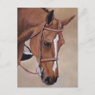 Bay Horse Animal Art Postcard