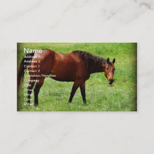 Bay Horse Business Card