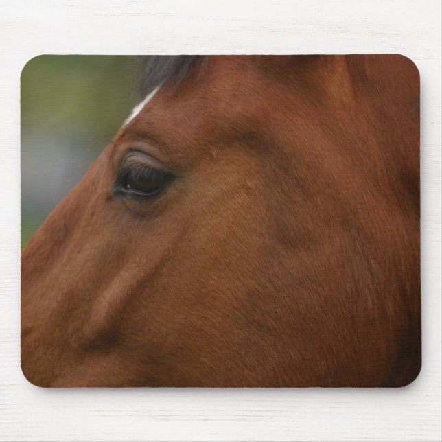 Bay Horse Closeup Mouse Mat (Front)