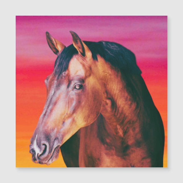 Bay Horse Gradient    (Front)