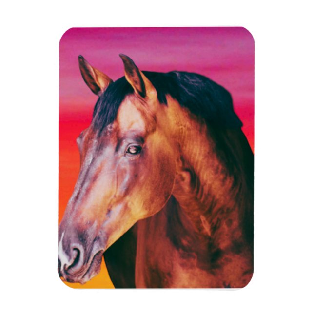 Bay Horse Gradient    Magnet (Vertical)