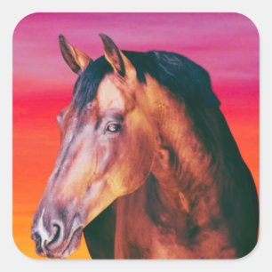 Bay Horse Gradient Square Sticker