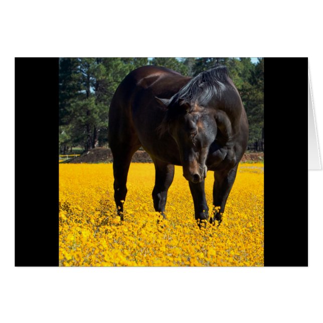 Bay Horse in a Field of Yellow Flowers (Front Horizontal)