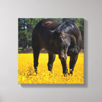 Bay Horse in a Field of Yellow Flowers