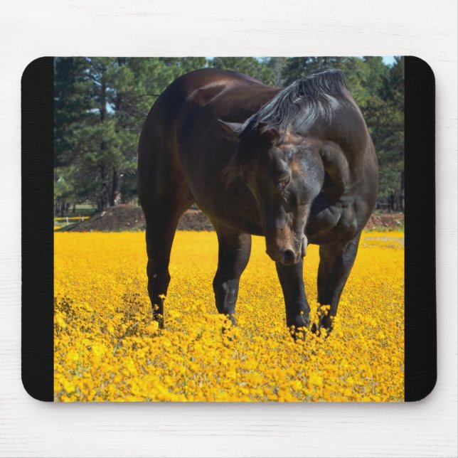 Bay Horse in a Field of Yellow Flowers Mouse Mat (Front)