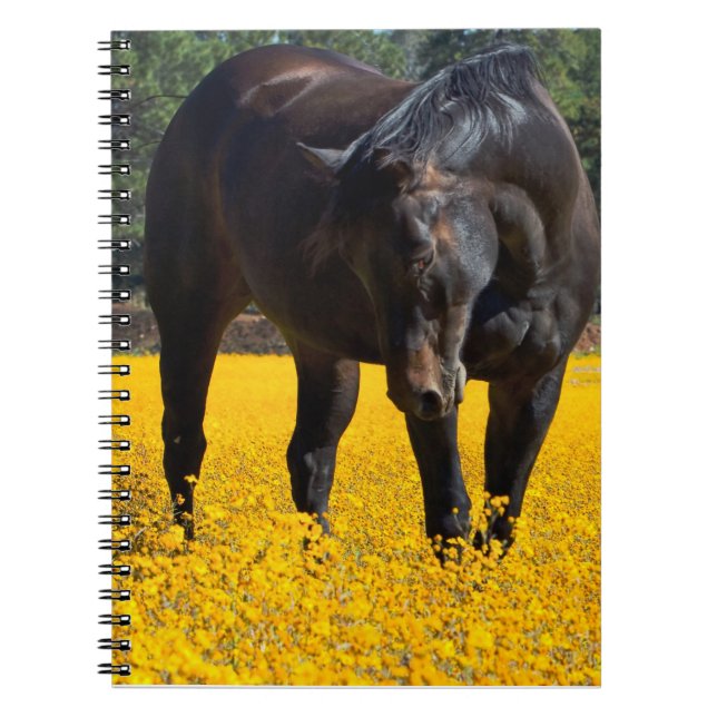 Bay Horse in a Field of Yellow Flowers Notebook (Front)