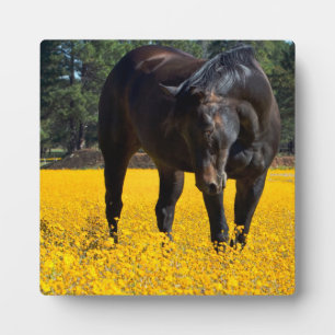 Bay Horse in a Field of Yellow Flowers Plaque