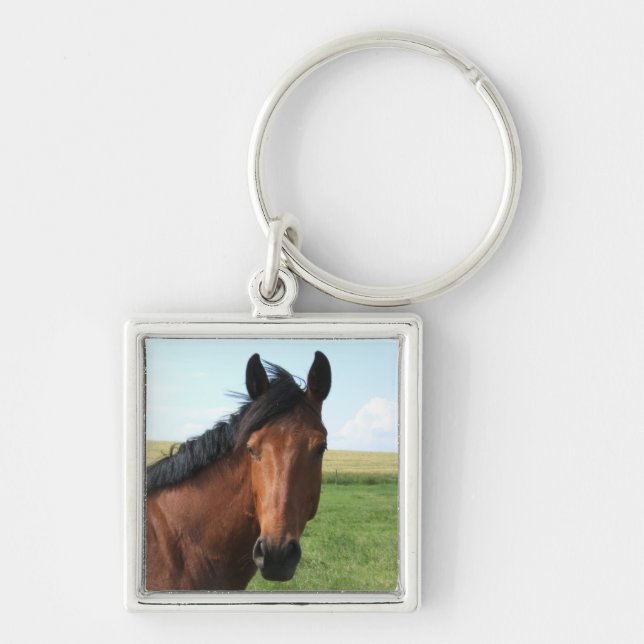 Bay Horse in Pasture Key Ring (Front)