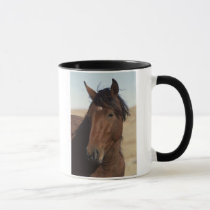 Bay Horse in Wind Mug