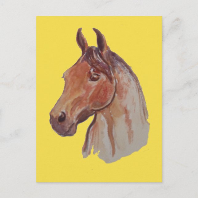 Bay Horse on Yellow Postcard (Front)