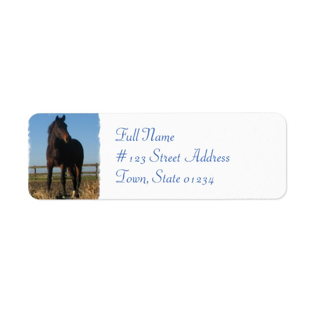 Bay Horse Return Address Label (Front)