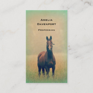 Bay Horse Standing in a Field Business Card
