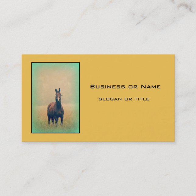 Bay Horse Standing in a Field Business Card (Front)