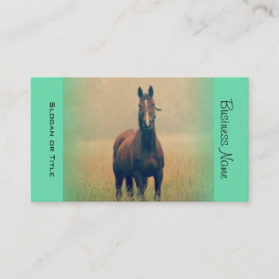 Bay Horse Standing in a Field Business Card