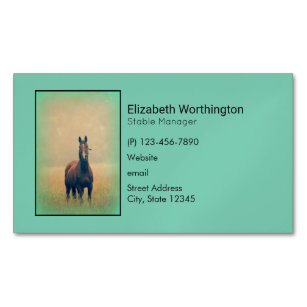 Bay Horse Standing in a Field Magnetic Business Card