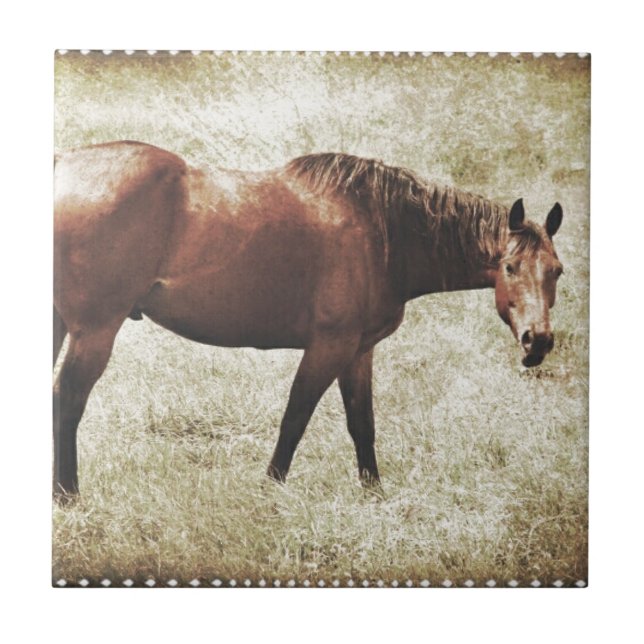 Bay Horse Tile (Front)