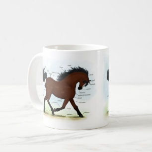 Bay Horse With Blaze Educational Anatomical Chart Coffee Mug