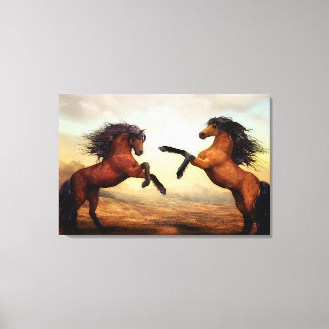Bay Horses Rearing Canvas Print (Front)