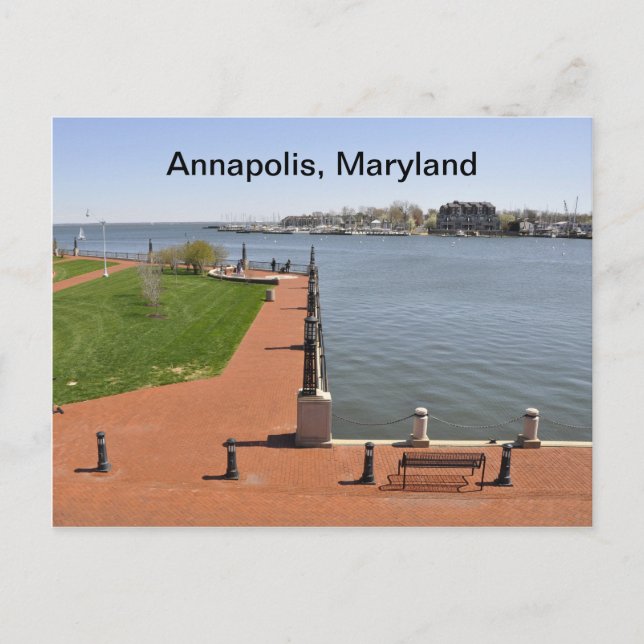 Bay in Annapolis, Maryland Postcard (Front)