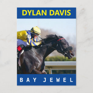Bay Jewel Postcard