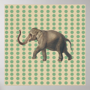 Bay Leaf Spice Moods Dots with Elephant Poster