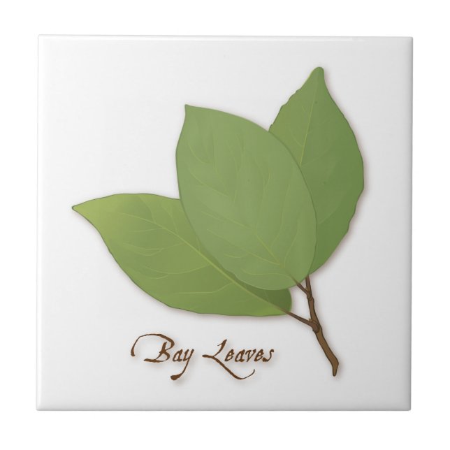 Bay Leaves Ceramic Tile (Front)