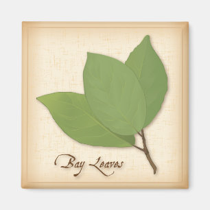 Bay Leaves Magnet