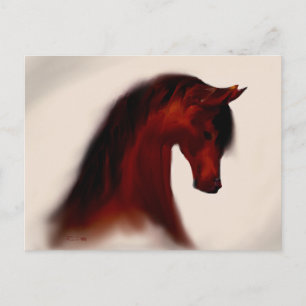 Bay Mare ~ Blank Postcard