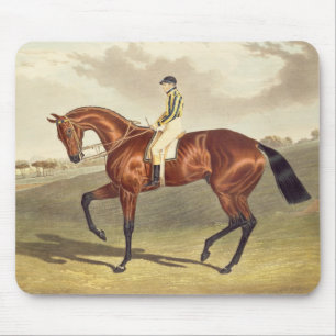 Bay Middleton, winner of the Derby in 1836, after Mouse Mat