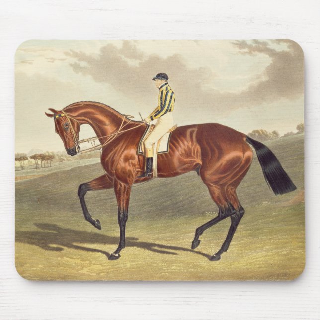 Bay Middleton, winner of the Derby in 1836, after Mouse Mat (Front)