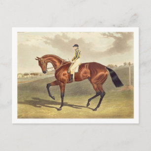 Bay Middleton, winner of the Derby in 1836, after Postcard