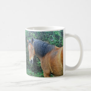 Bay New Forest Pony of Hampshire, England Coffee Mug