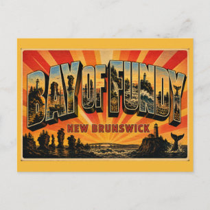 Bay of Fundy New Brunswick Highest Tides Postcard