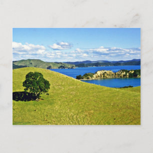 Bay Of Islands, North Island Postcard