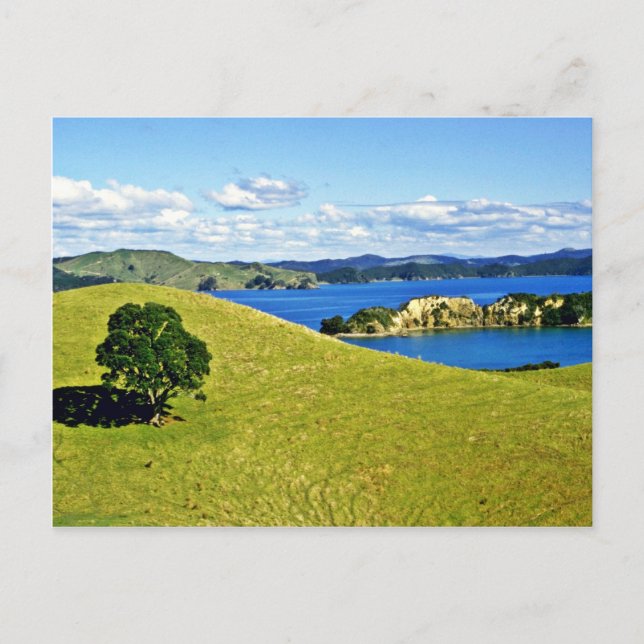 Bay Of Islands, North Island Postcard (Front)