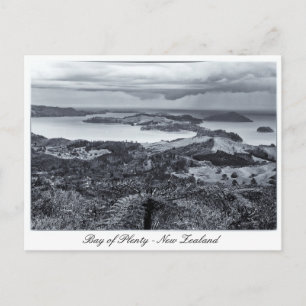 Bay of Plenty , New Zealand  Postcard