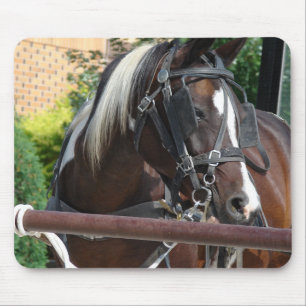 Bay Pinto Amish Buggy Horse Mouse Mat
