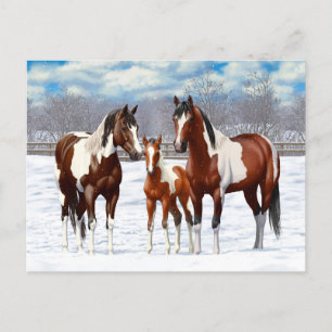 Bay Pinto Paint Horses In Winter Snow Postcard