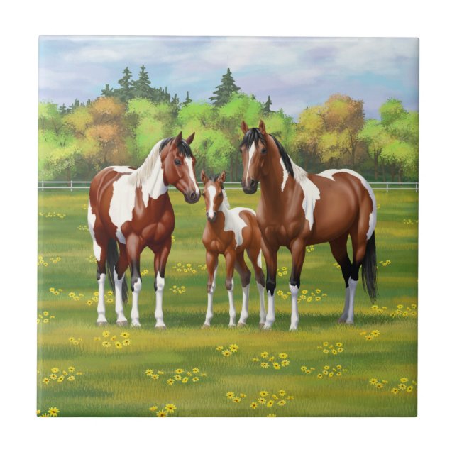 Bay Pinto Paint Quarter Horses In Summer Pasture Tile (Front)