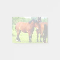 Bay Polish Bred Draught Horses In Lush Green Meado