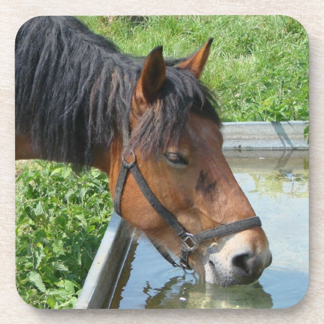 Bay Pony Drinking from Water Trough Coaster (Front)