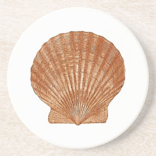 Bay Scallop Shell Coaster