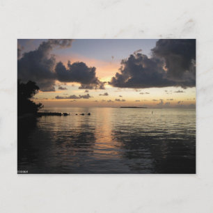 Bay Sunset Postcard