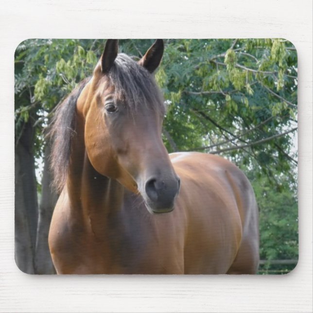 Bay Thoroughbred Horse Mouse Pad (Front)