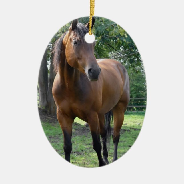 Bay Thoroughbred Horse Ornament (Front)