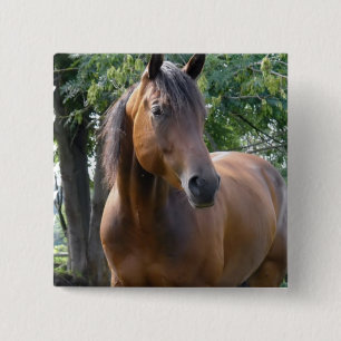 Bay Thoroughbred Horse Square Pin