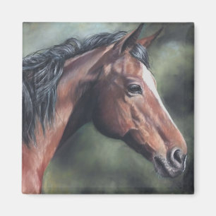 Bay thoroughbred mare head looking magnet