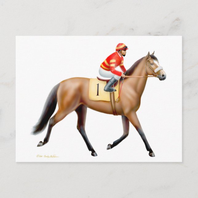 Bay Thoroughbred Race Horse Postcard (Front)