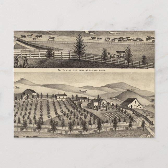 Bay View and Residence of JR Rose Postcard (Front)