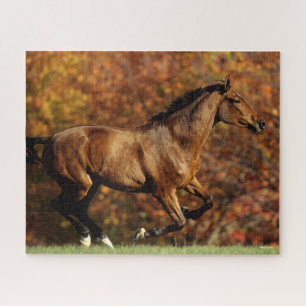 Bay Warmblood Running Autumn Background Jigsaw Puzzle